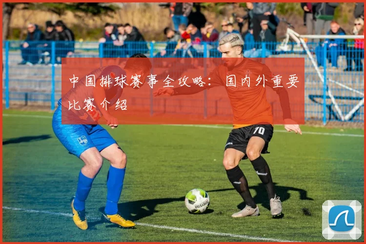 中国排球赛事全攻略:国内外重要比赛介绍
