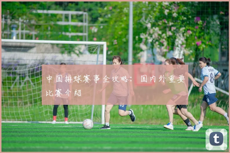 中国排球赛事全攻略：国内外重要比赛介绍